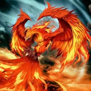 Meet your Posher, Calvin